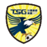 南市台钢